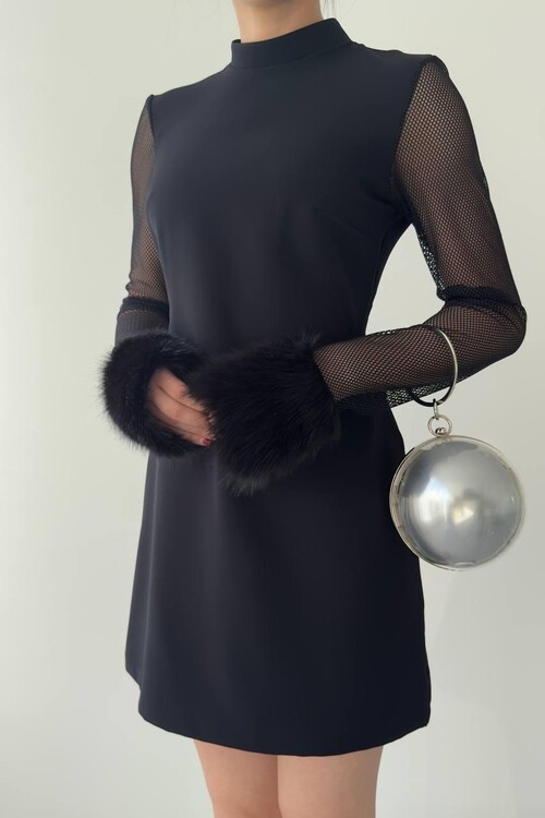 Dera Mesh Sleeve Dress