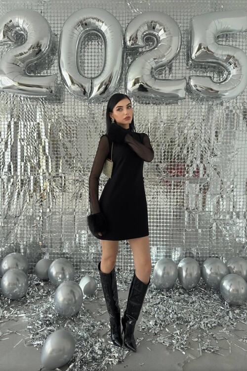 Dera Mesh Sleeve Dress