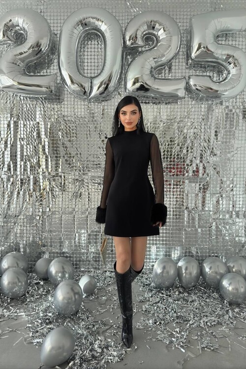 Dera Mesh Sleeve Dress