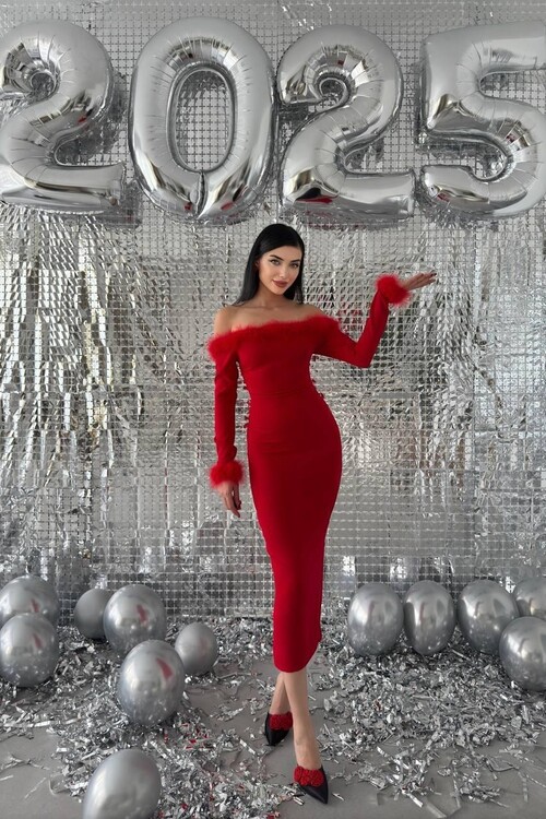 Siyo Feather Detailed Dress