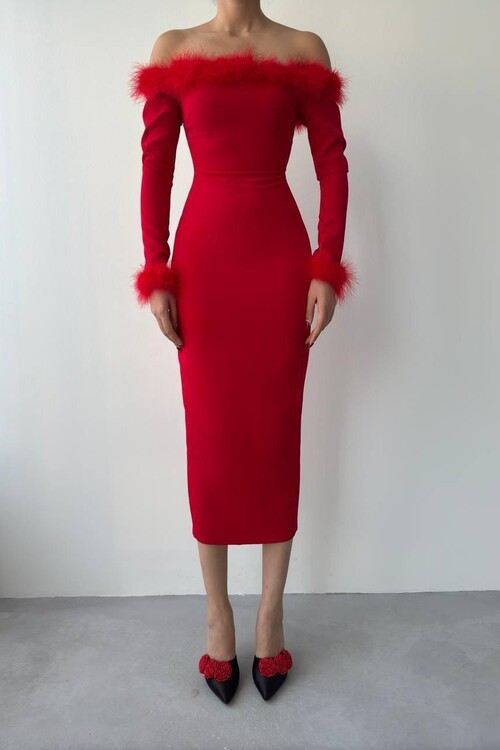 Siyo Feather Detailed Dress