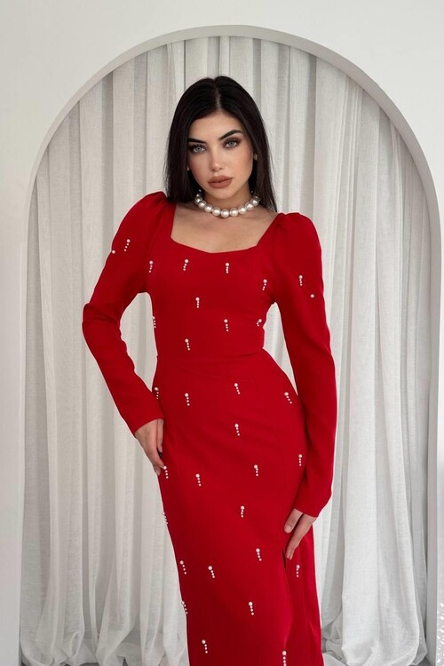 Akit Pearl Detailed Dress