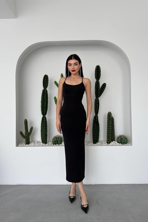 Blear Tie Back Dress