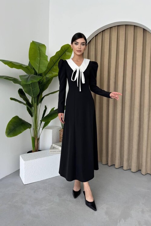 Chimay Collar Tied Dress