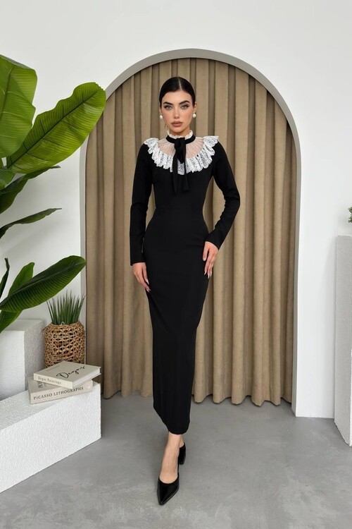 Culfa Lace Collar Dress