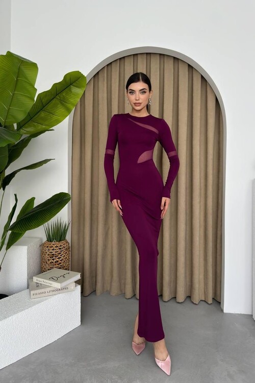 Jaguar Tulle Detailed Dress