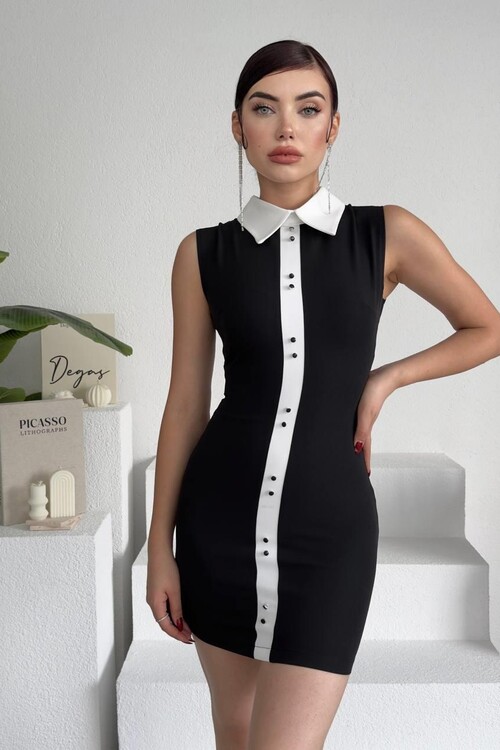 Karina Collar Detail Dress