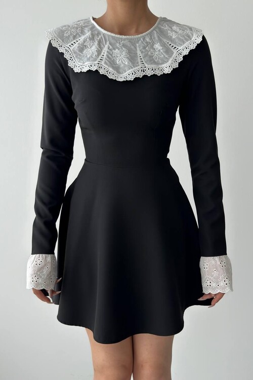 Nord Lace Collar Sleeve Dress