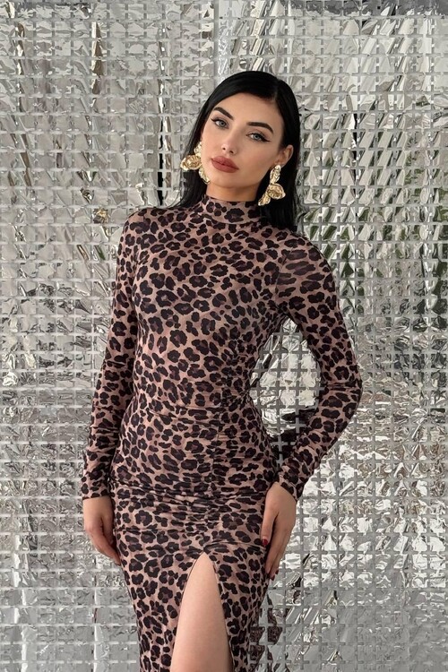 Petrovo Slit Detailed Dress