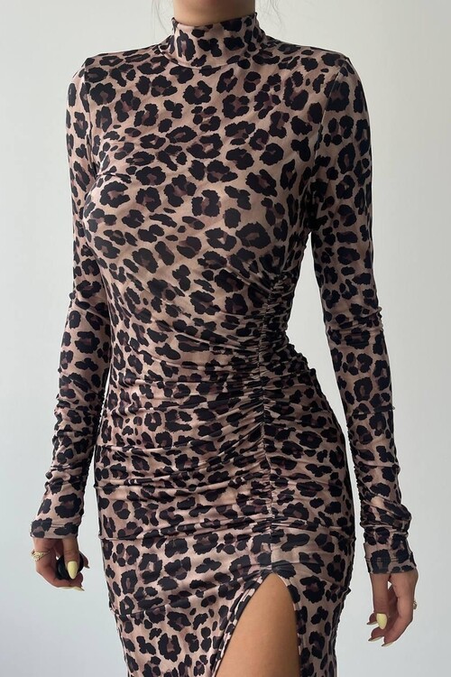 Petrovo Slit Detailed Dress