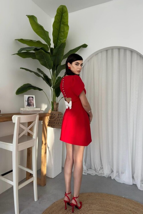 Alka Pearl Bow Detail Dress