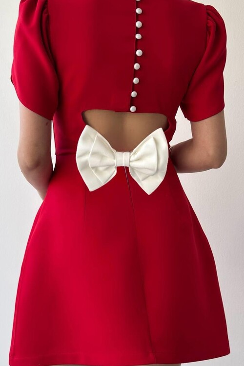 Alka Pearl Bow Detail Dress