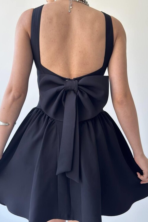 Dreas Bow Detailed Dress