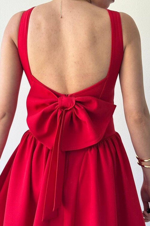 Dreas Bow Detailed Dress
