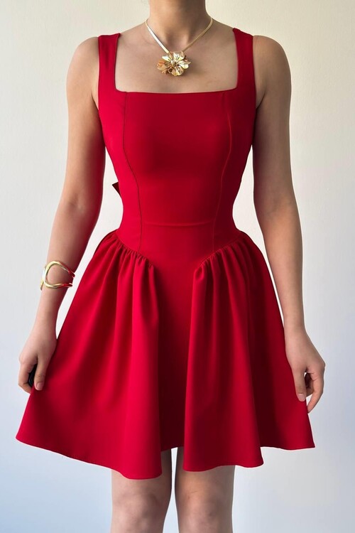 Dreas Bow Detailed Dress