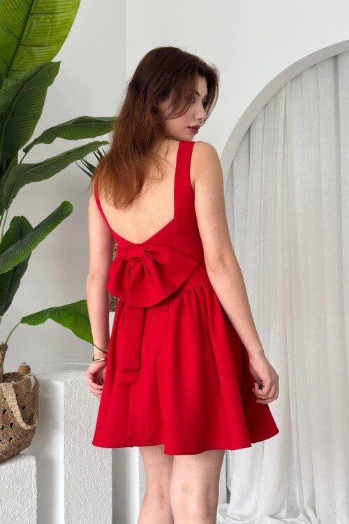 Dreas Bow Detailed Dress