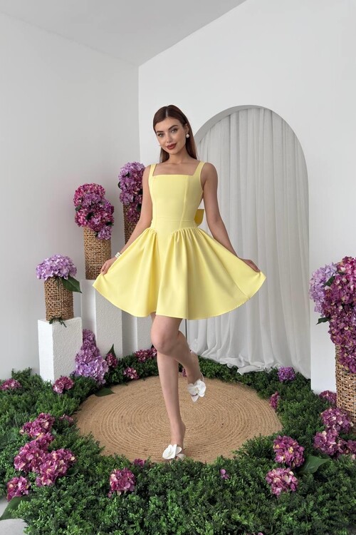 Dreas Bow Detailed Dress