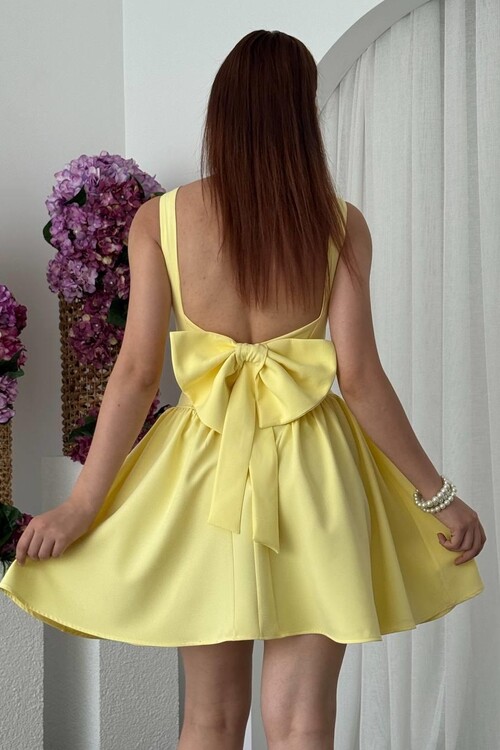 Dreas Bow Detailed Dress