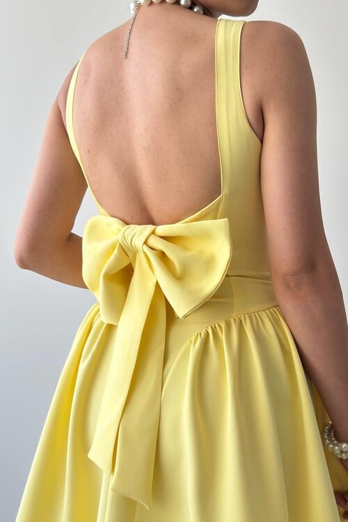 Dreas Bow Detailed Dress