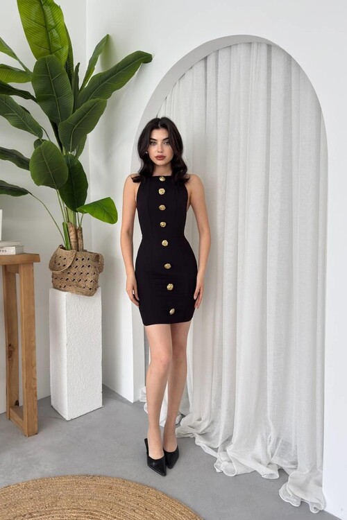 Katalina Rose Button Dress