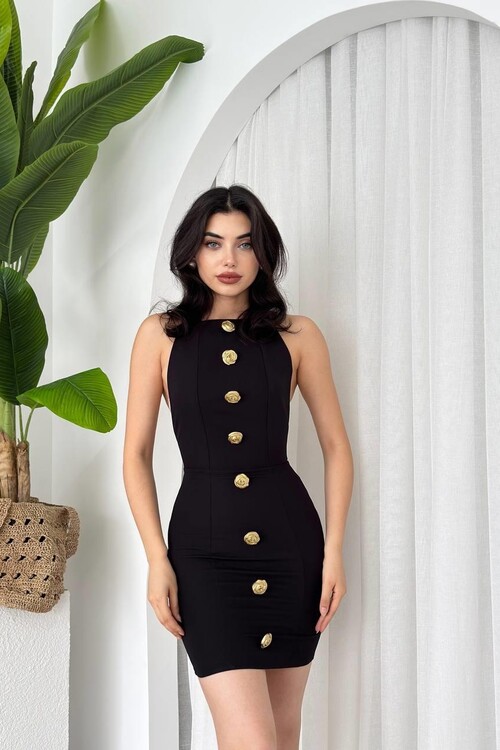 Katalina Rose Button Dress