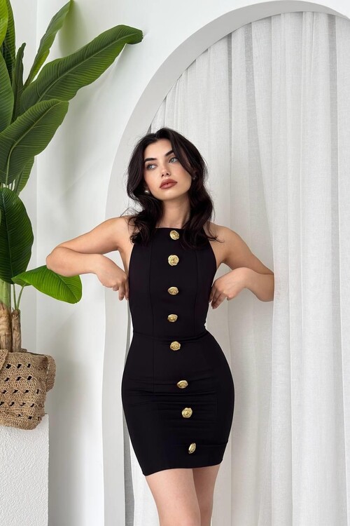 Katalina Rose Button Dress