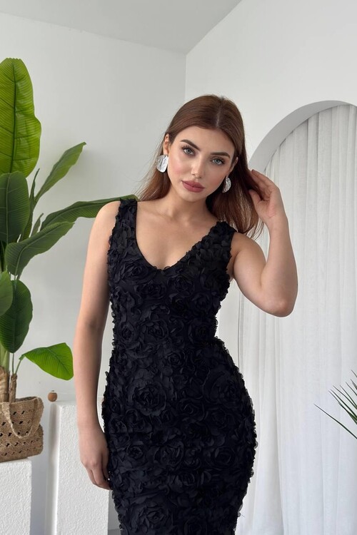 Kren Rose Detailed Dress