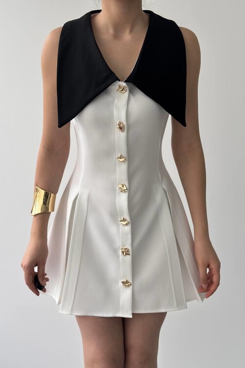Ness Buttoned Dress