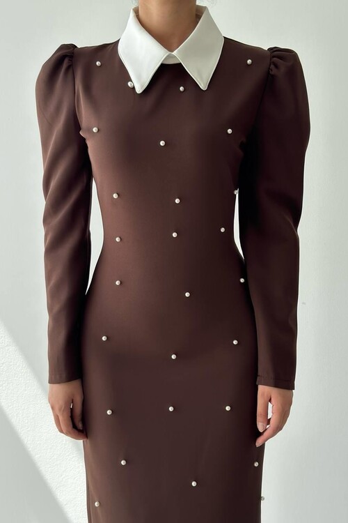 Noi İnci Detaylı Elbise