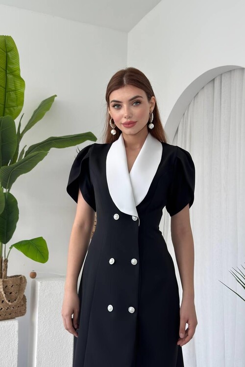 Reta Button Detailed Dress