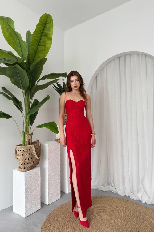 Stor Rose Detailed Dress