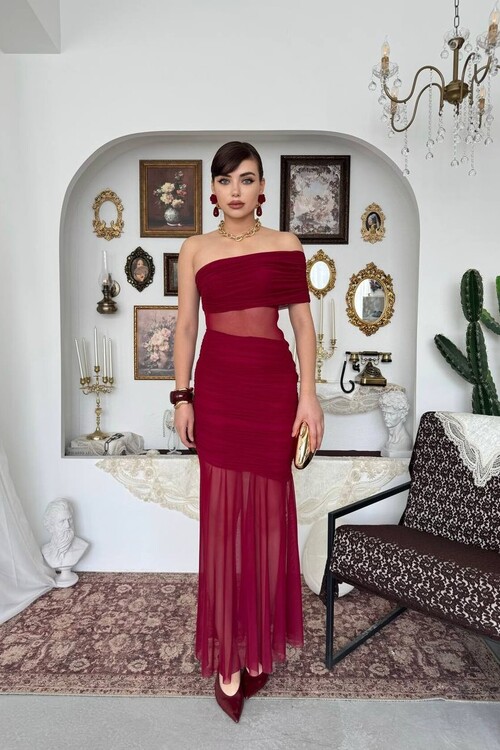 Bark Transparan Elbise