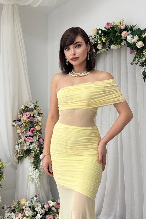 Bark Transparan Elbise