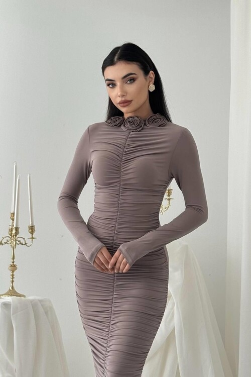 Carlis Rose Collar Dress