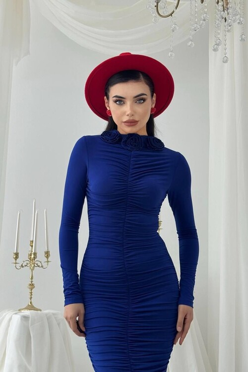 Carlis Rose Collar Dress