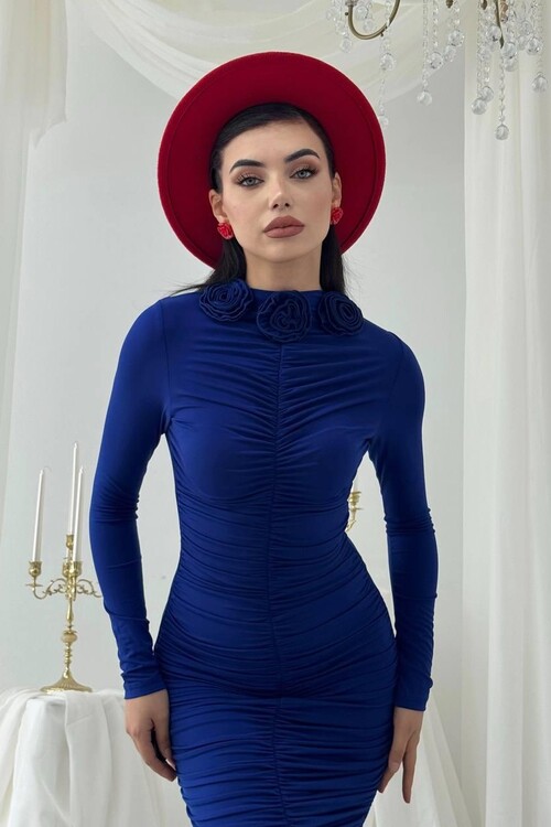 Carlis Rose Collar Dress