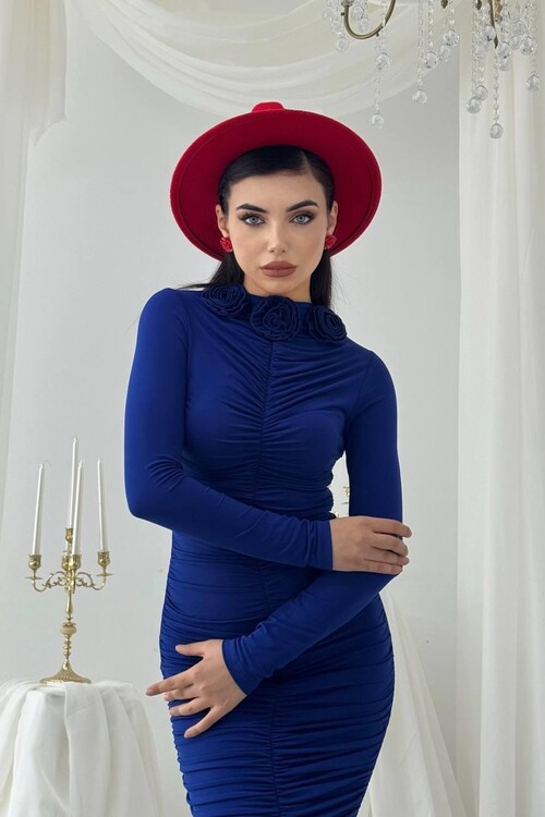 Carlis Rose Collar Dress