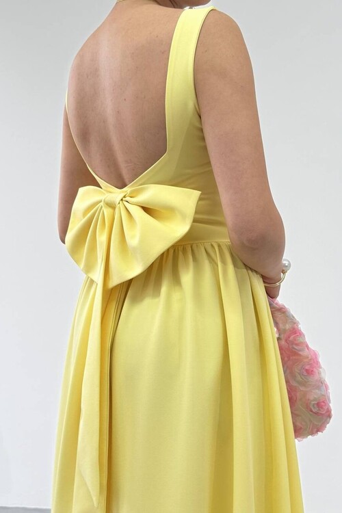 Dınas Fiyonk Detaylı Elbise