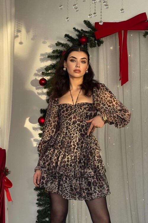 Mio Balloon Sleeve Dress