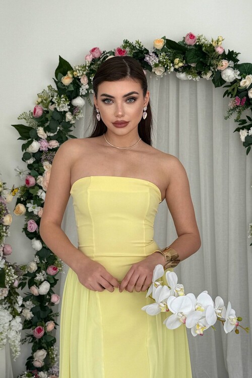 Reny Strapless Dress