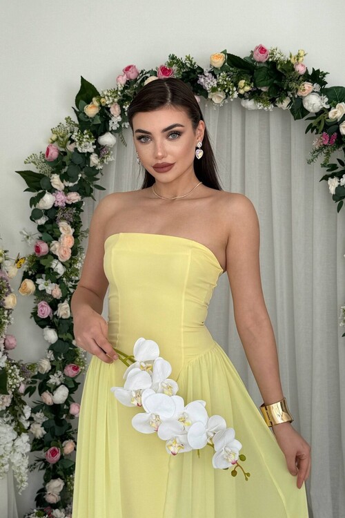 Reny Strapless Dress