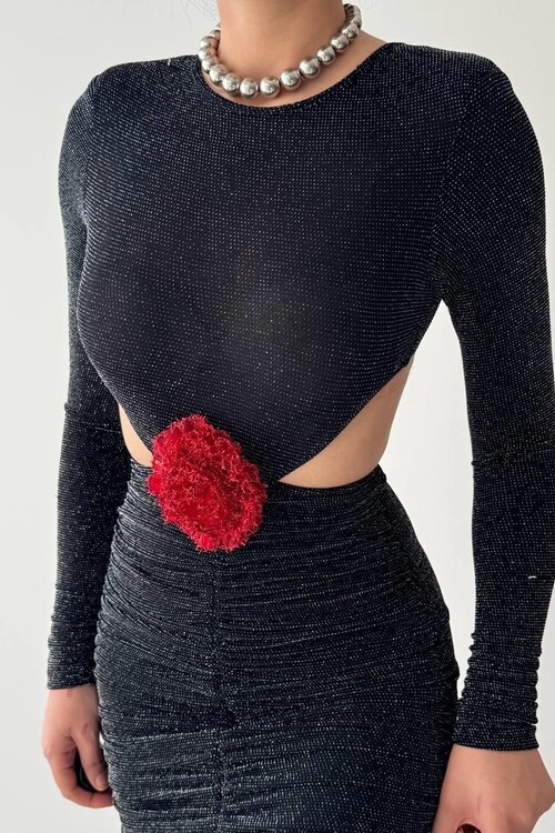 Sarih Rose Detailed Dress