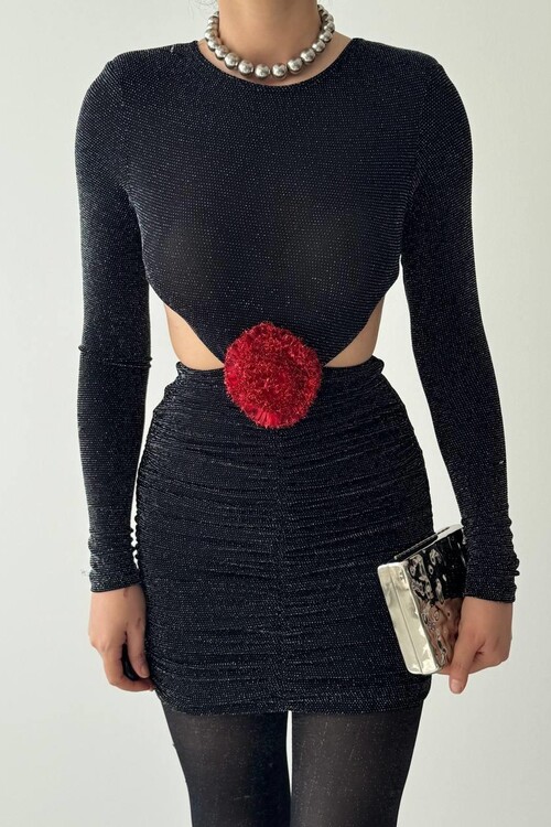 Sarih Rose Detailed Dress