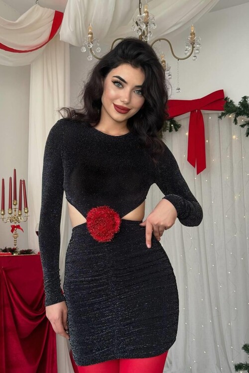 Sarih Rose Detailed Dress