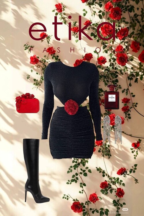 Sarih Rose Detailed Dress