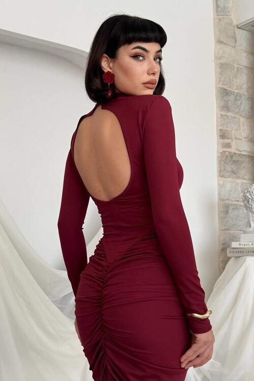 Wino Backless Dress