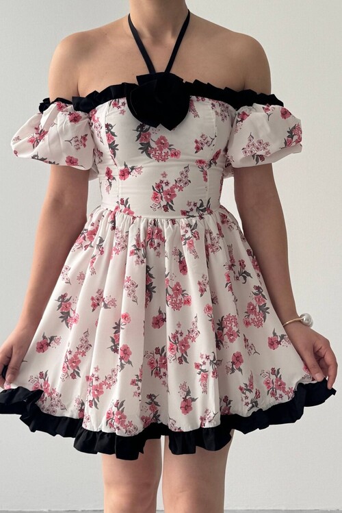 Wismar Gül Detay Elbise