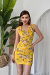 Lenisa Fırfırlı Mini Boy Elbise